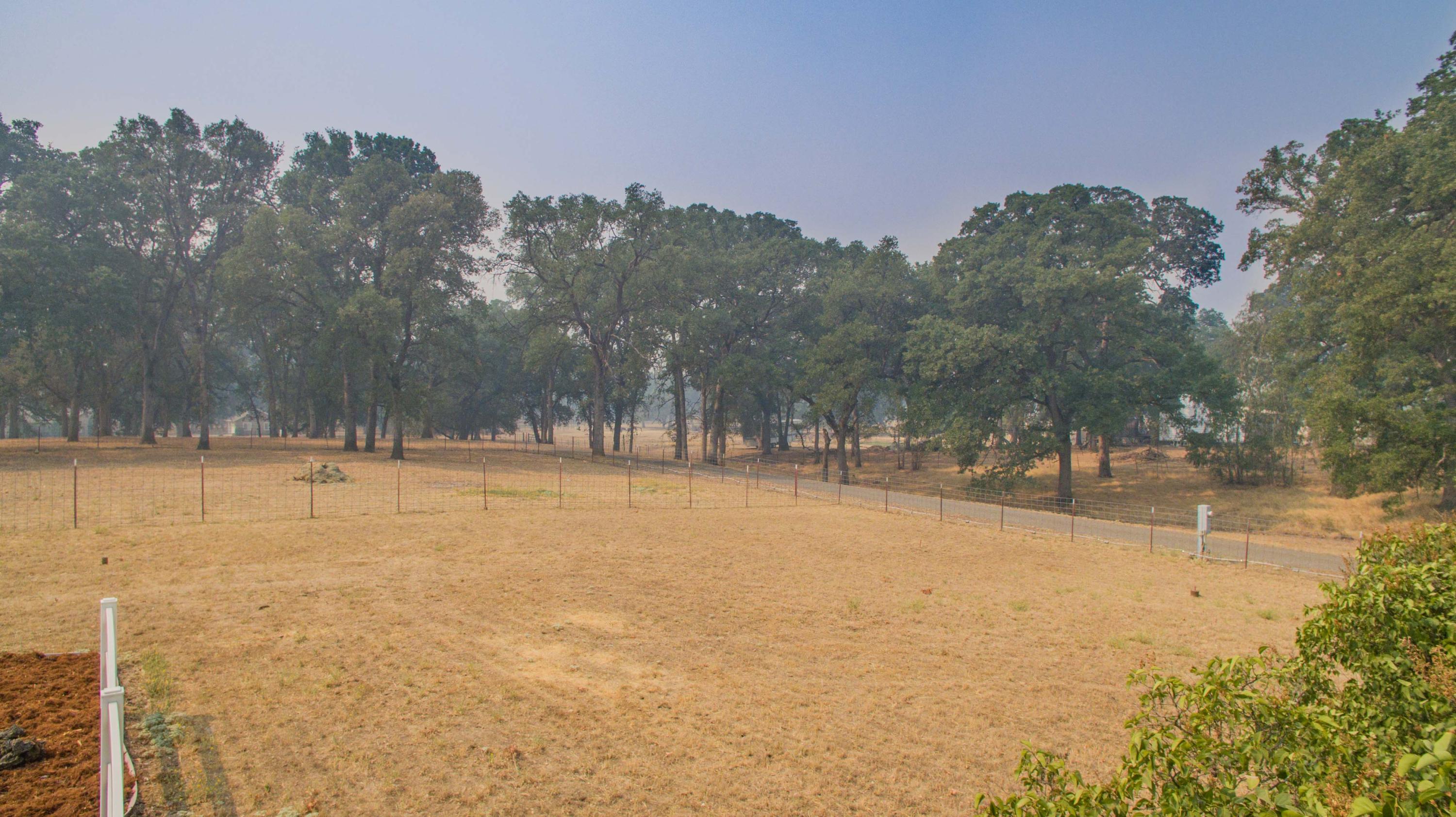 16245 Gas Point Road Cottonwood, CA 96022 - Photo 51 of 55 Gas Point Kristin-63