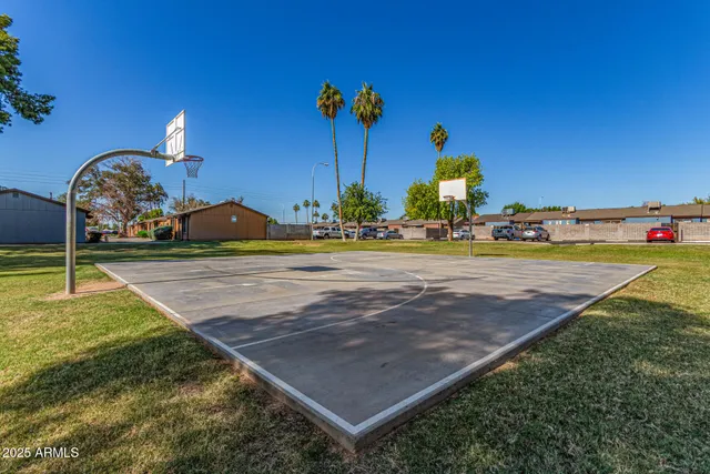 a view of a park with large trees