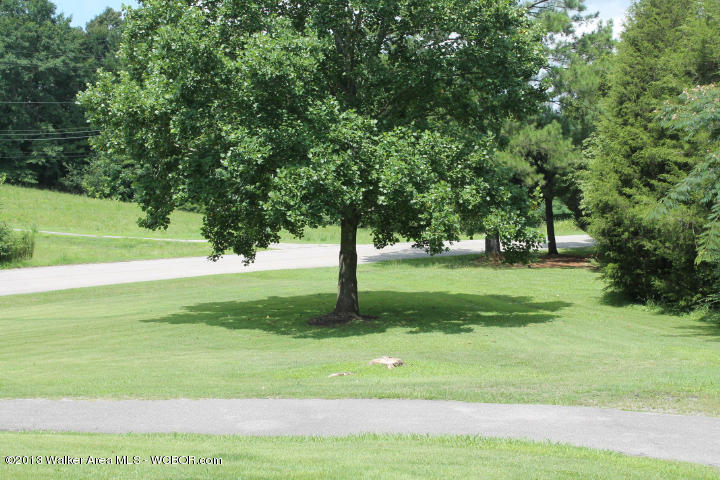 3552 Oakman-Parrish Road Parrish, AL 35580 - Photo 9 of 36 Gallery Image 9