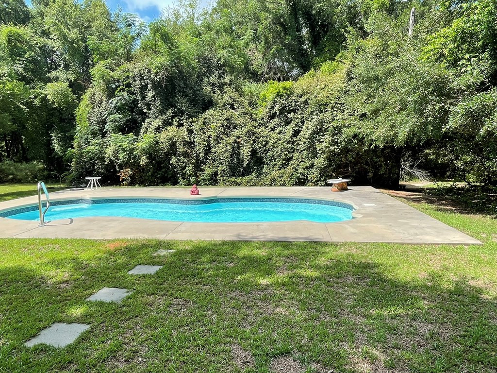 5523 North Road Orangeburg, SC 29118 - Photo 12 of 46 Salt Water Pool