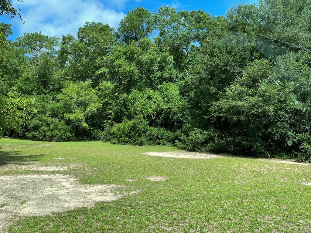 5523 North Road Orangeburg, SC 29118 - Photo 37 of 46 Side Yard