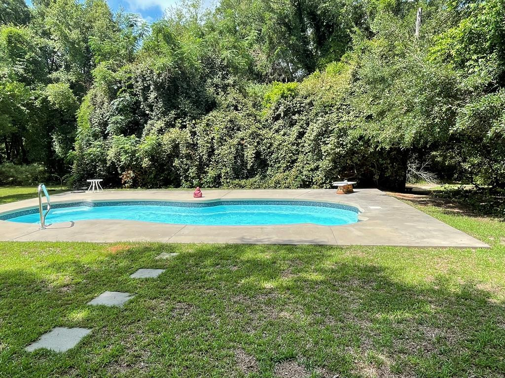 5523 North Road Orangeburg, SC 29118 - Photo 38 of 46 Salt Water Pool