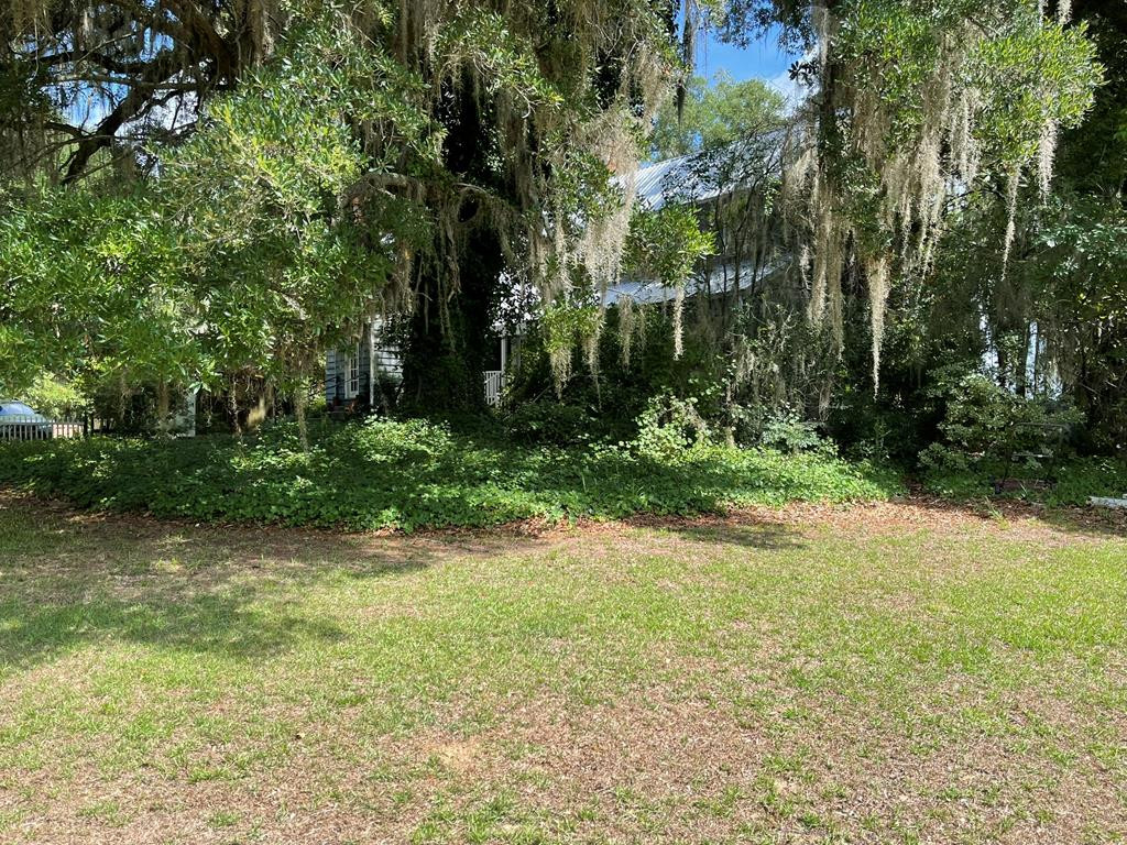 5523 North Road Orangeburg, SC 29118 - Photo 5 of 46 View behind Oaks