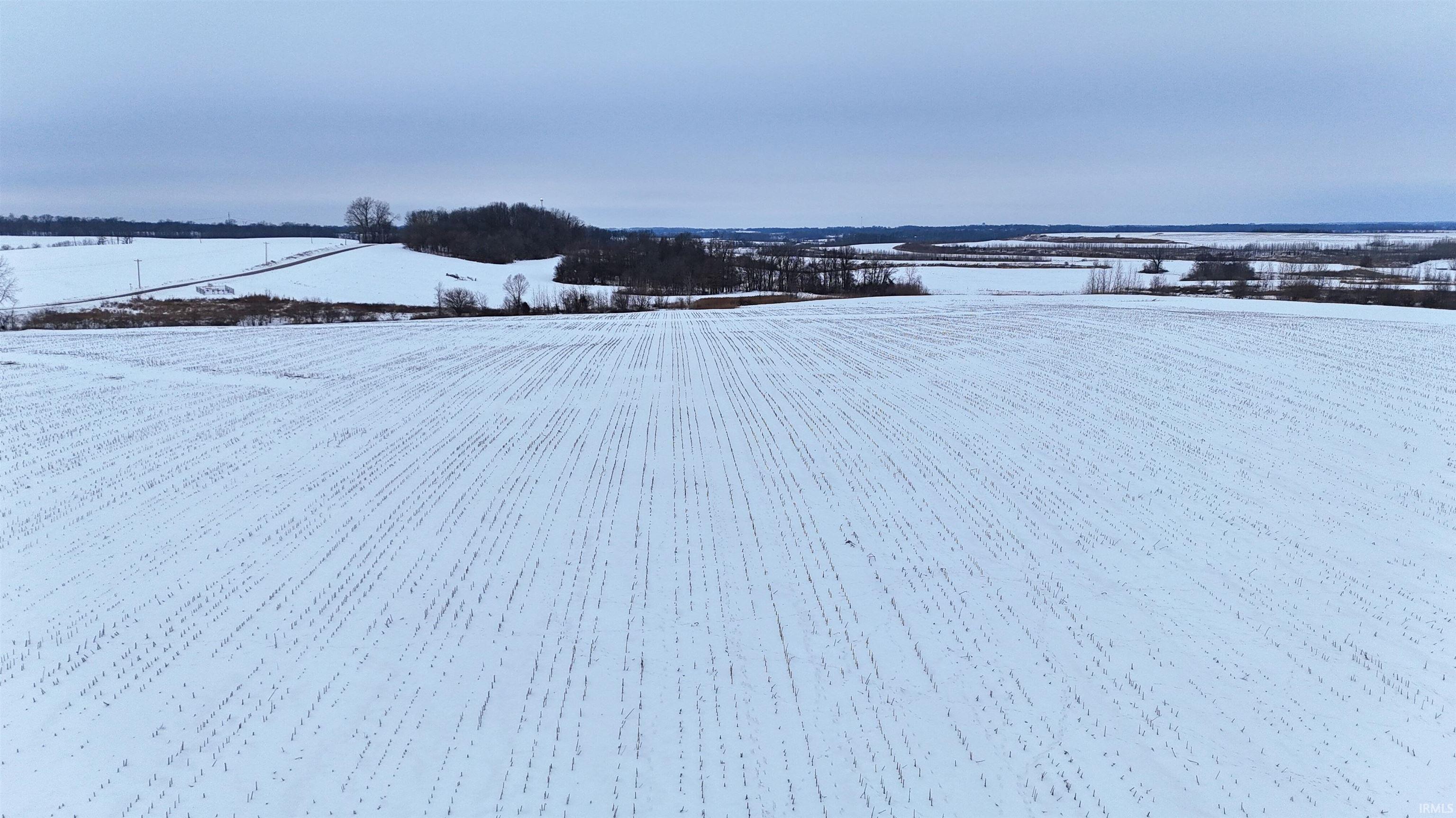 42-acres North Wampler Road Bicknell, IN 47512 - Photo 4 of 12