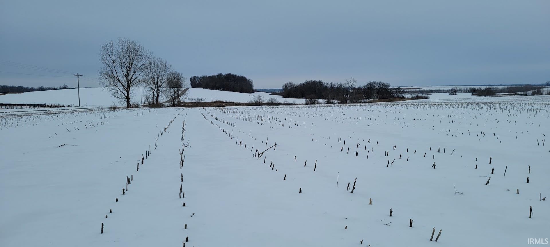 42-acres North Wampler Road Bicknell, IN 47512 - Photo 6 of 12