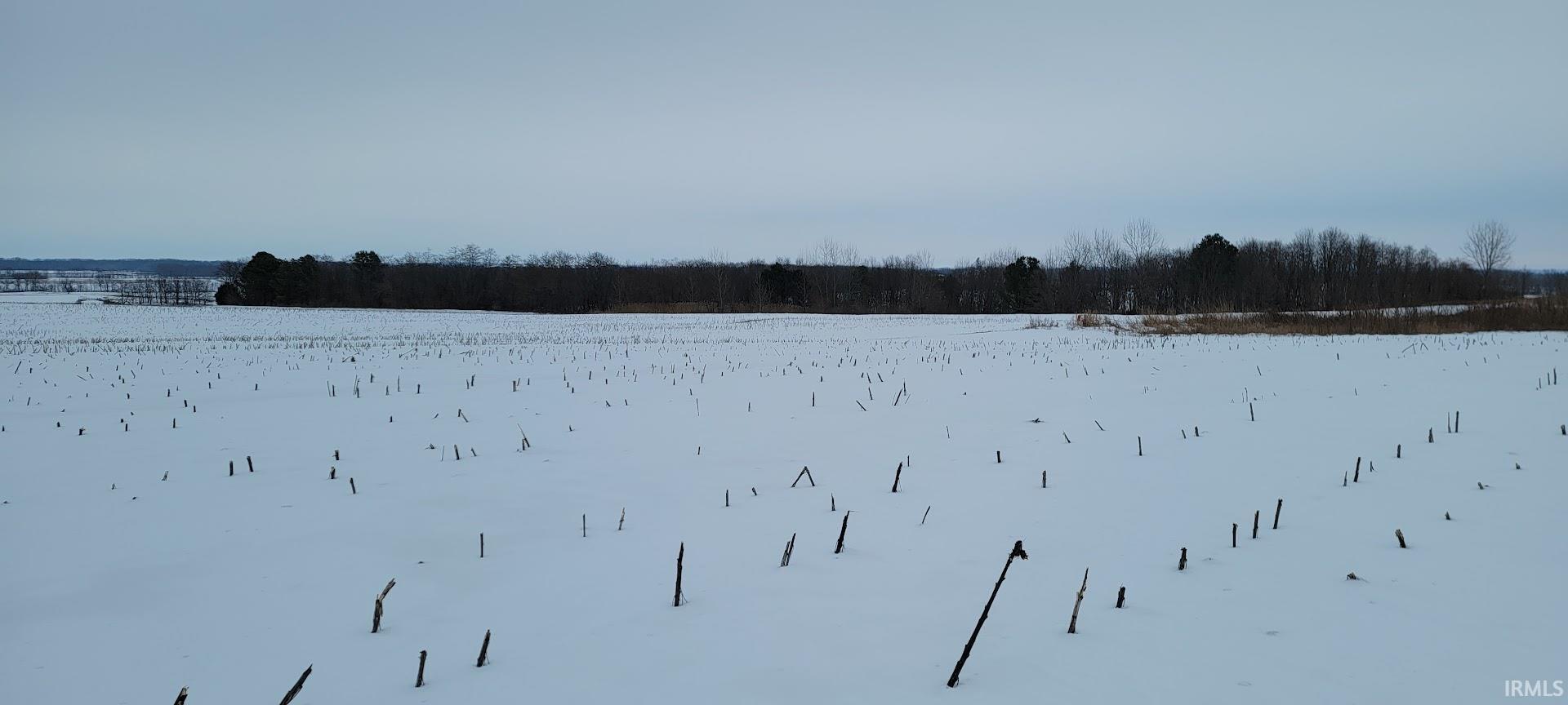 42-acres North Wampler Road Bicknell, IN 47512 - Photo 7 of 12