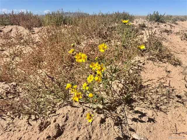 a view of ocean view and mountain