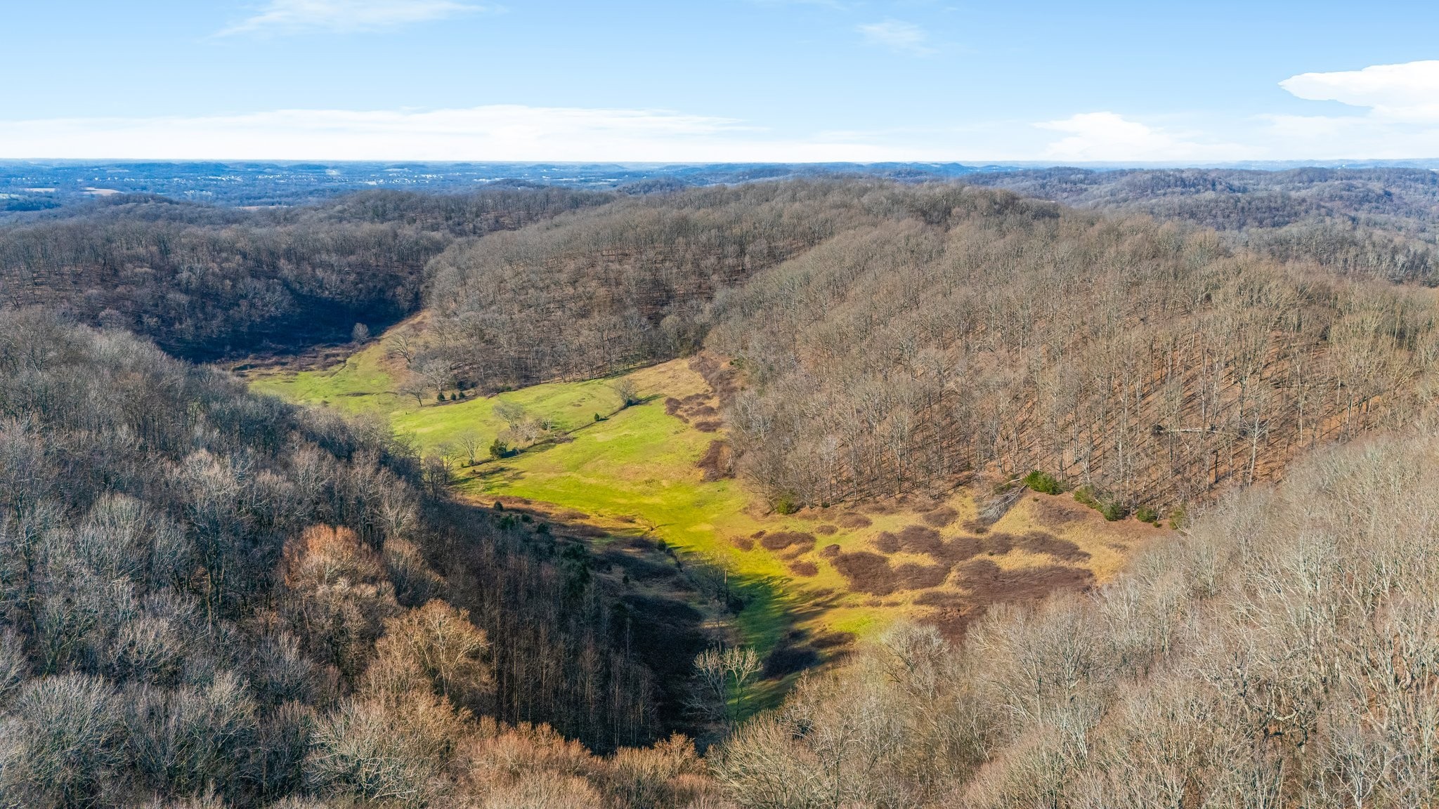 4701 Reed Road Thompson's Station, TN 37179 - Photo 15 of 27 a view of a yard