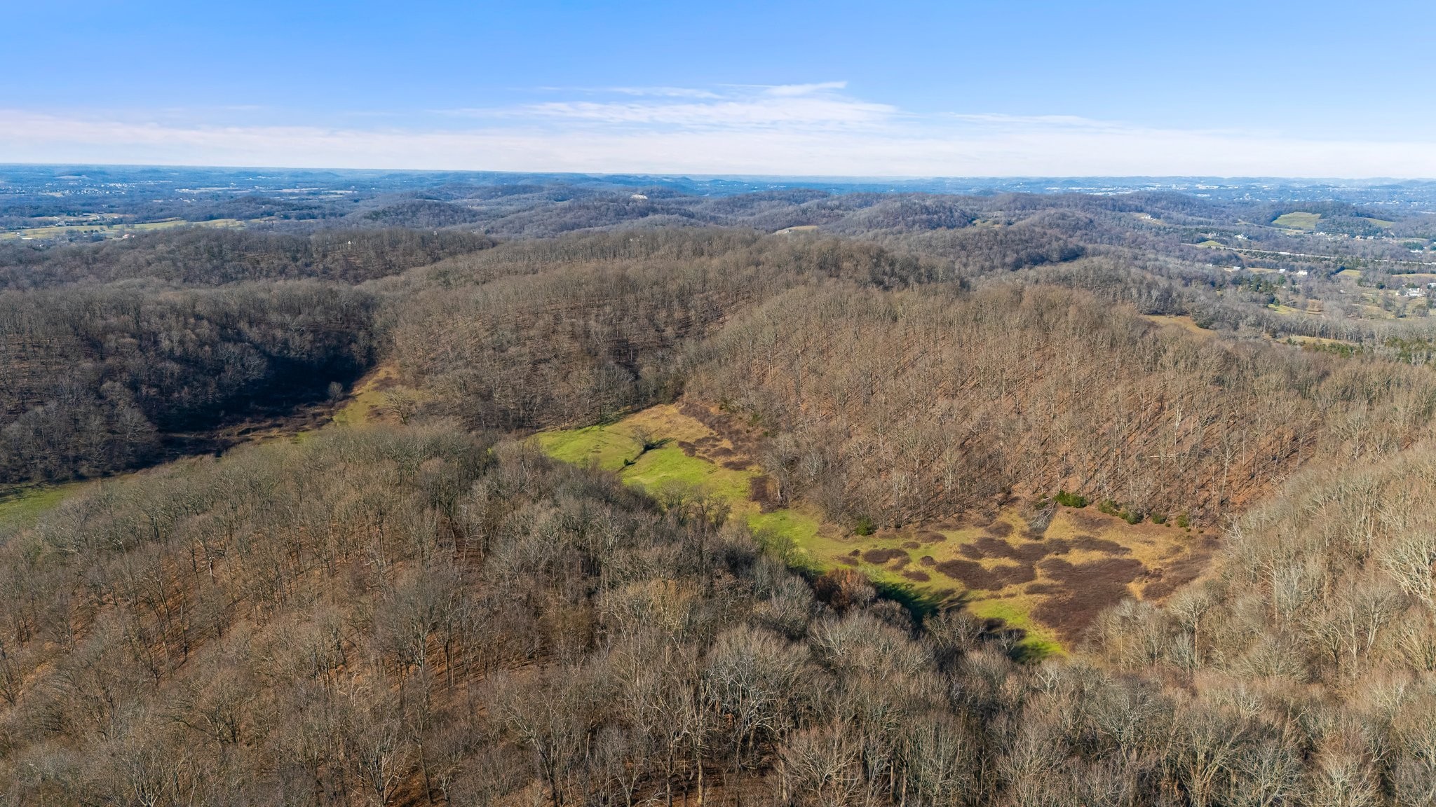 4701 Reed Road Thompson's Station, TN 37179 - Photo 16 of 27 a view of a forest with mountains in the background