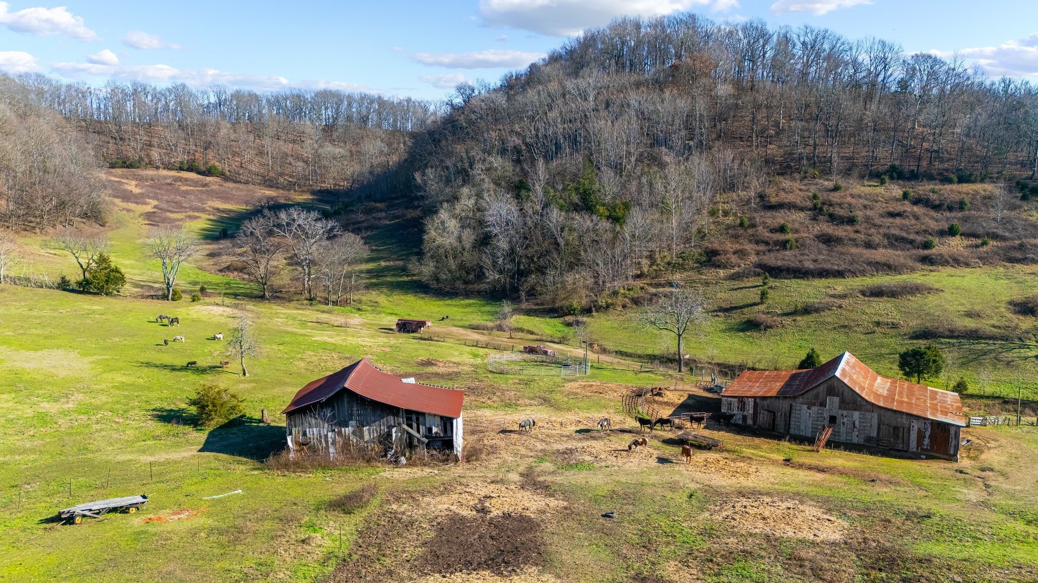 4701 Reed Road Thompson's Station, TN 37179 - Photo 19 of 27 a view of yard with swimming pool and trees