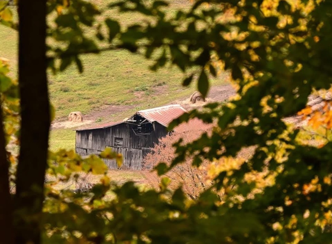 4701 Reed Road Thompson's Station, TN 37179 - Photo 20 of 27 a view of houses with sky view