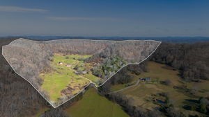 4701 Reed Road Thompson's Station, TN 37179 - Photo 2 of 27