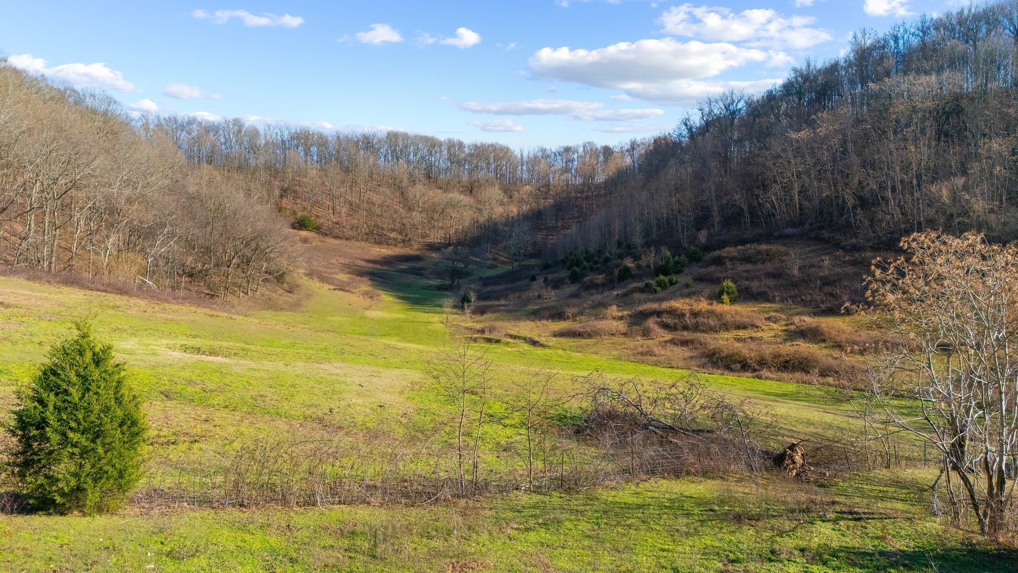 4701 Reed Road Thompson's Station, TN 37179 - Photo 23 of 27