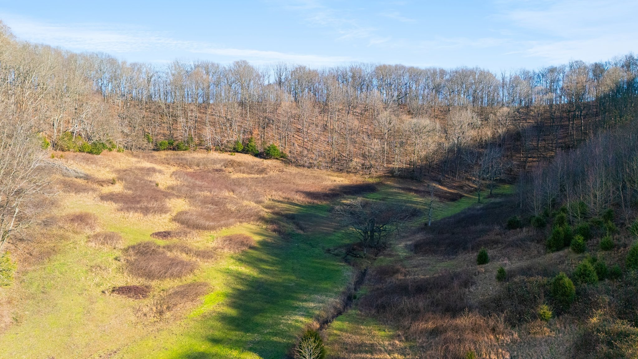 4701 Reed Road Thompson's Station, TN 37179 - Photo 24 of 27 a view of a yard with trees in the background