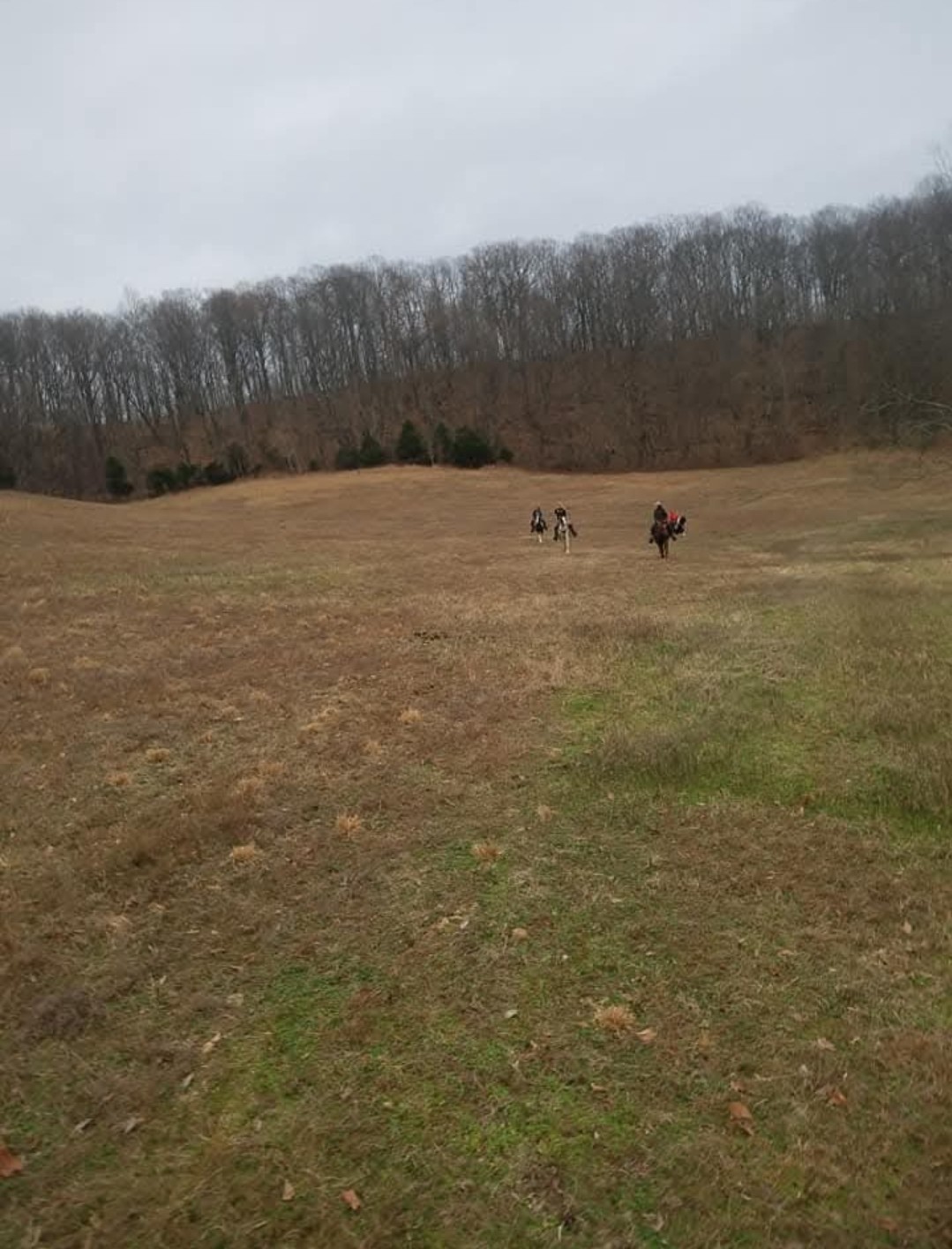 4701 Reed Road Thompson's Station, TN 37179 - Photo 26 of 27 a view of outdoor space and mountain view