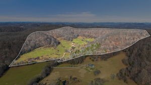 4701 Reed Road Thompson's Station, TN 37179 - Photo 4 of 27