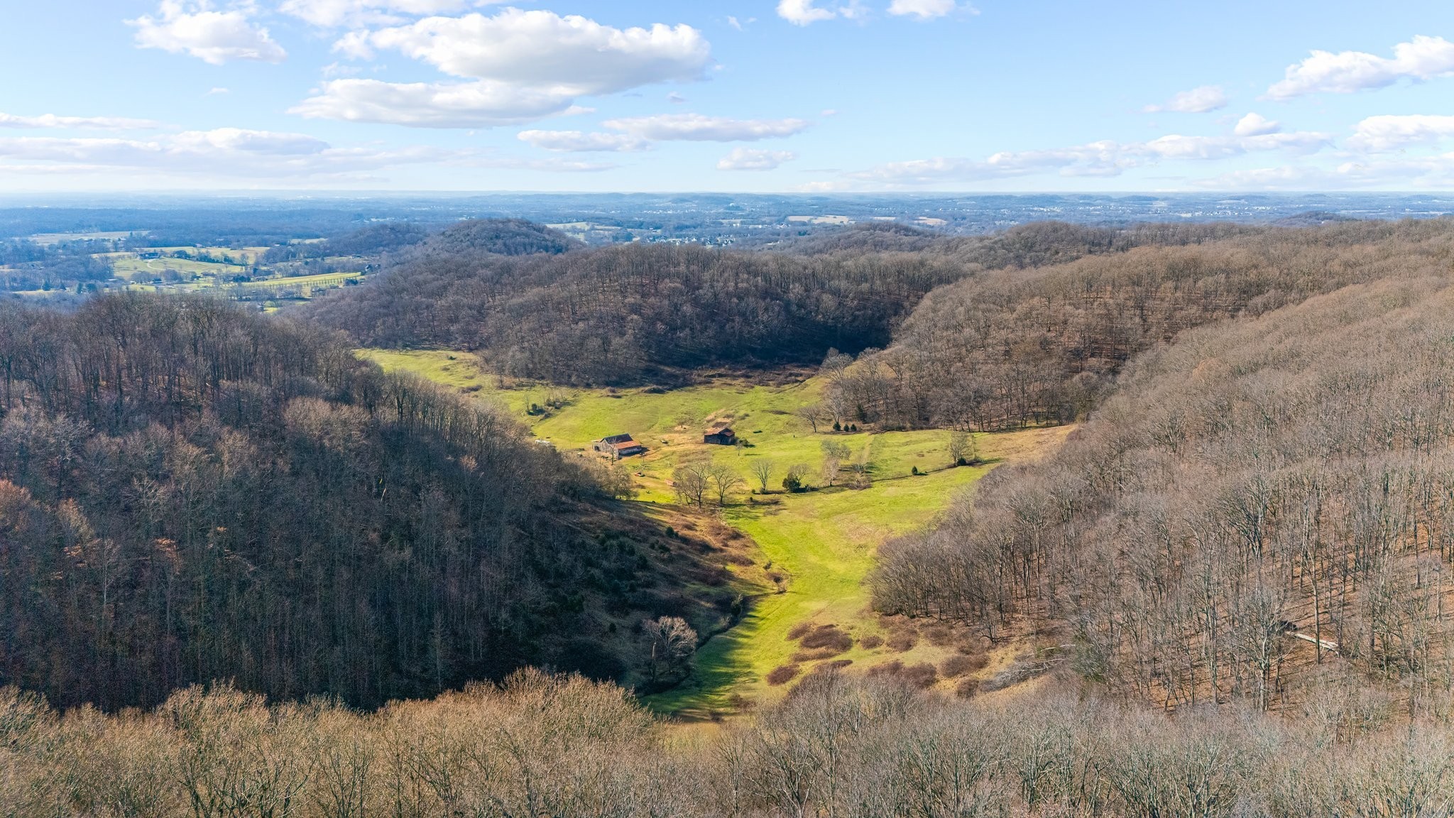 4701 Reed Road Thompson's Station, TN 37179 - Photo 10 of 27 a view of a lake with a mountain in the back