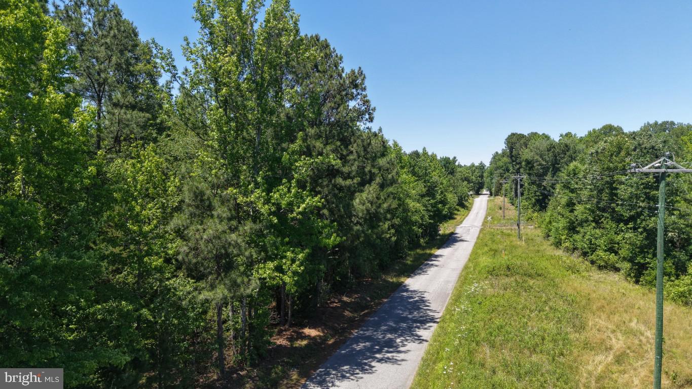 0 Freemans Cross Road Freeman, VA 23856 - Photo 12 of 36
