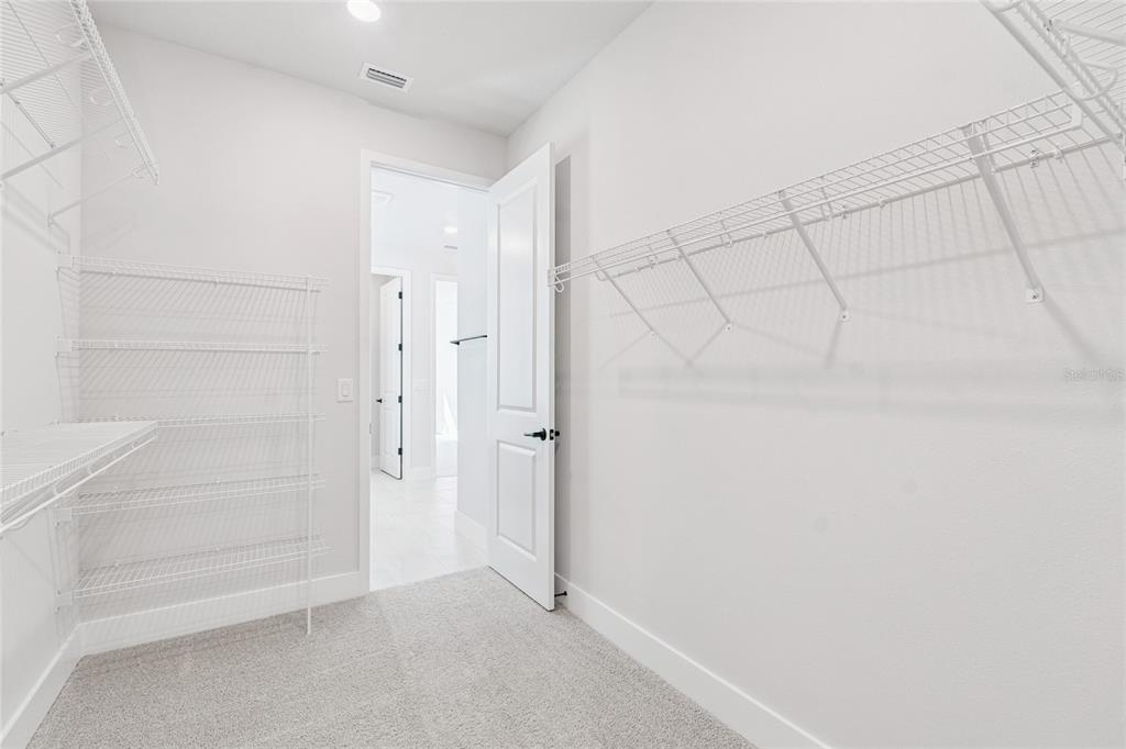 28780 Jujube Road Wesley Chapel, FL 33543 - Photo 28 of 55 Gallery Image 28