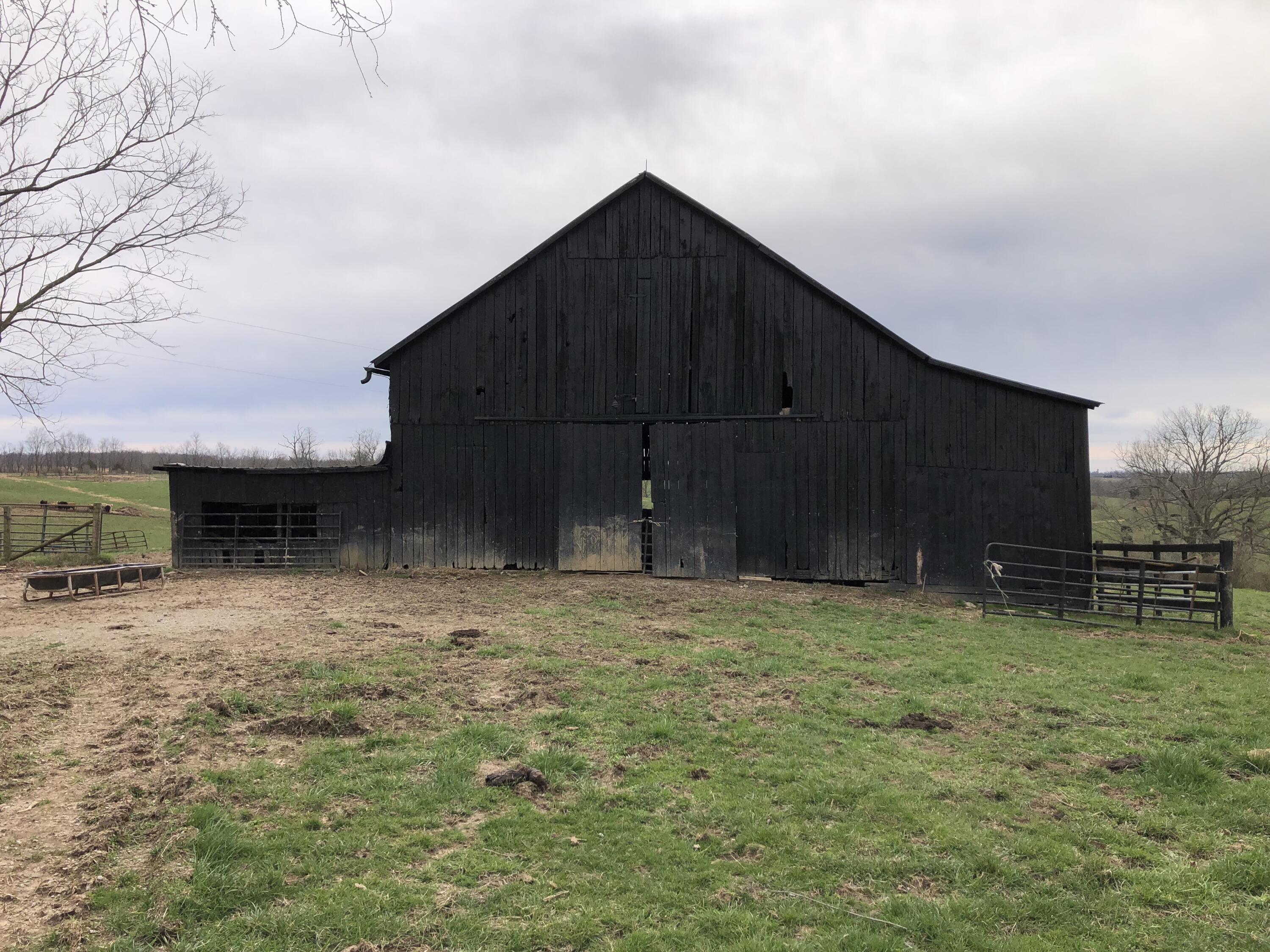 289 Lake Road Paris, KY 40361 - Photo 17 of 19 IMG_3401