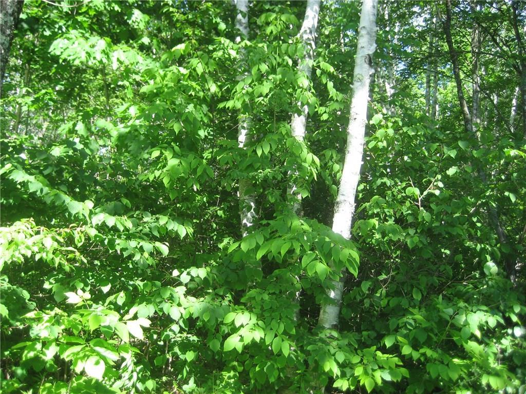 0 Rhodes Ln Union Union, ME 04862 - Photo 18 of 25 Photo