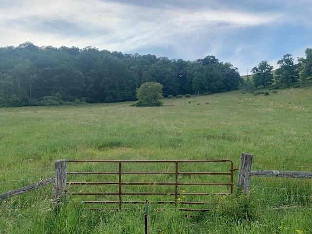 2 Jackson River Road Monterey, VA 24465 - Photo 3 of 4