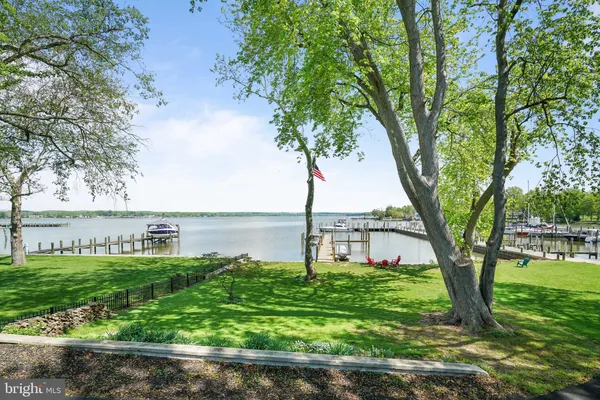 a large body of water with a tree in the background