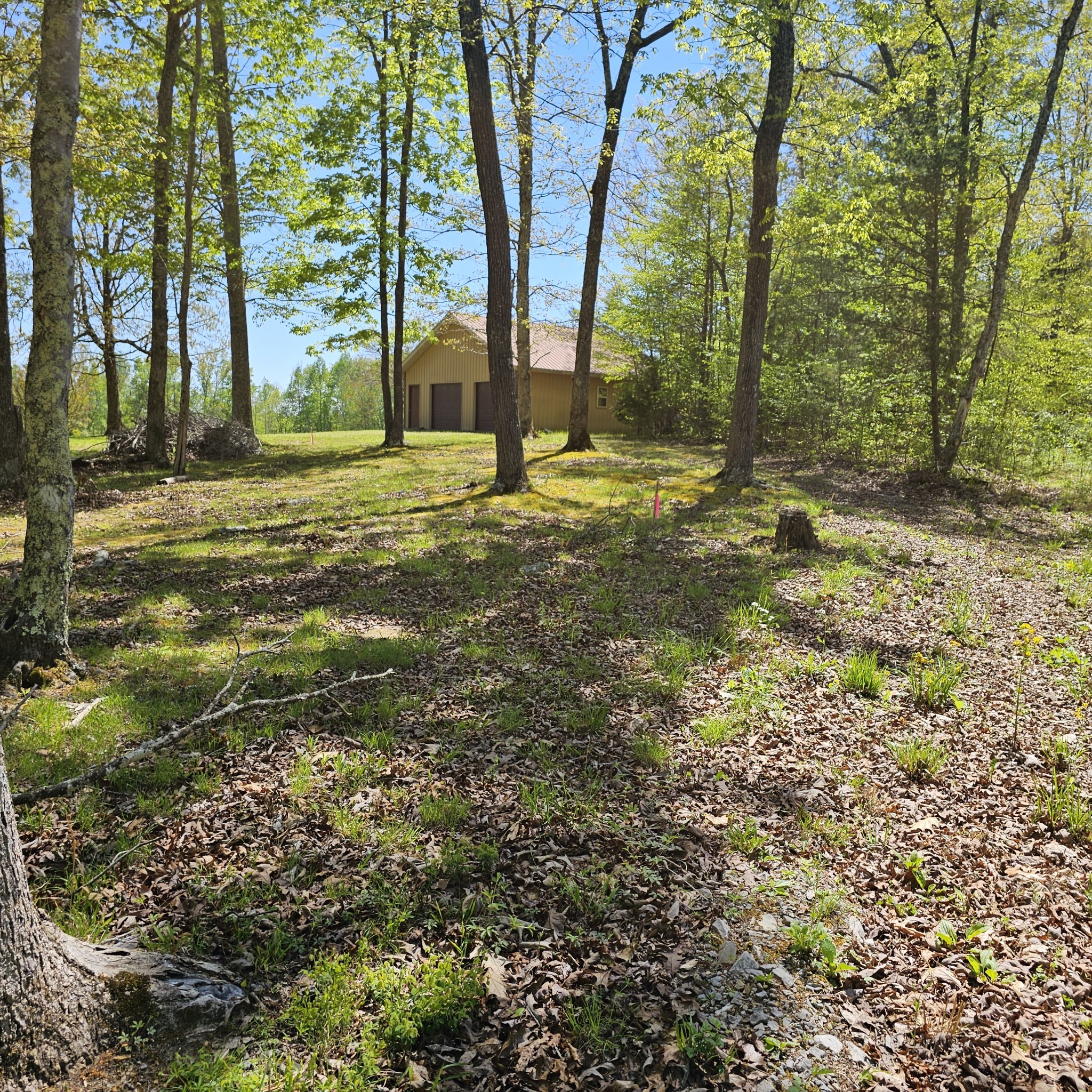 0 Young Green Road Smithville, TN 37166 - Photo 1 of 37 a backyard of a house with lots of green space