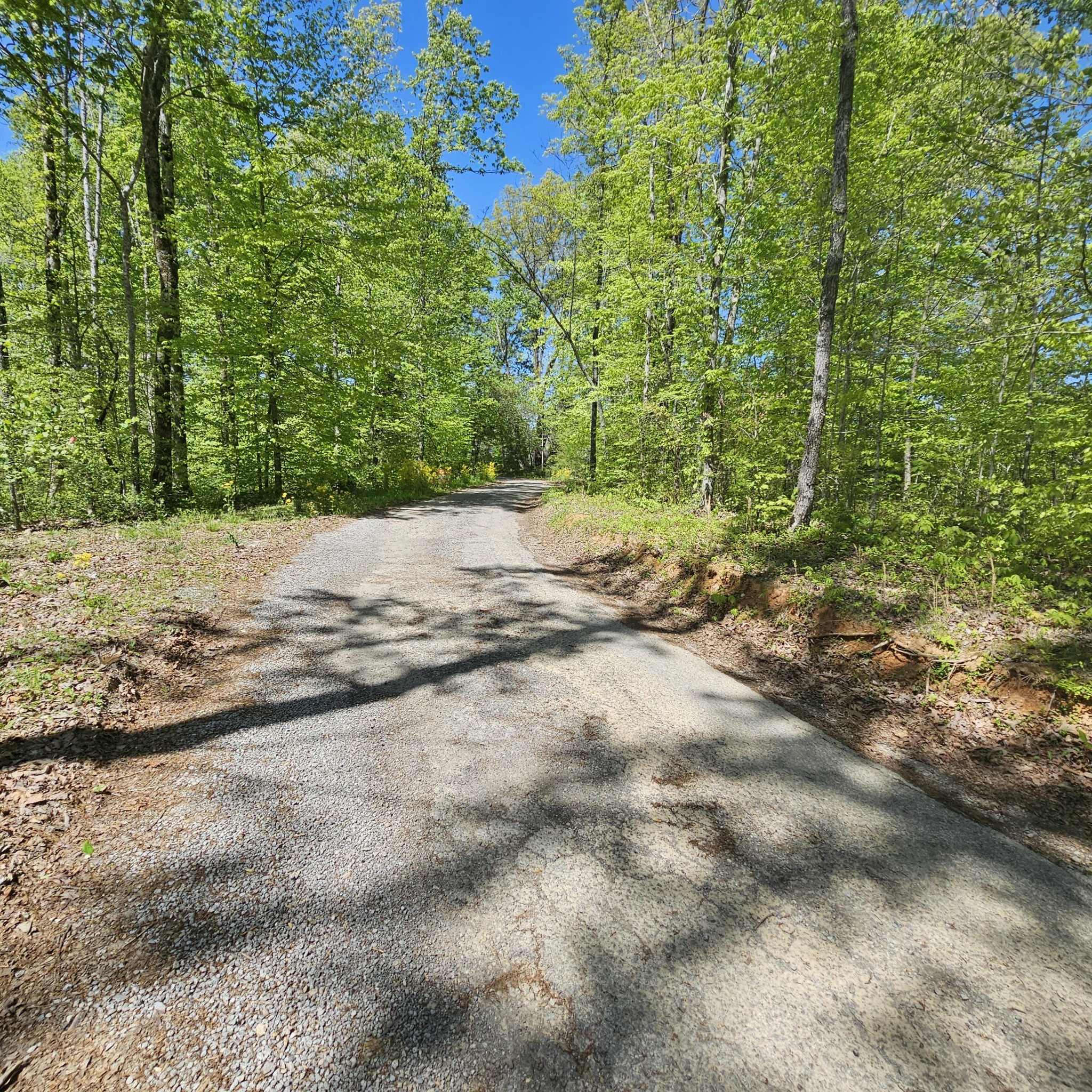 0 Young Green Road Smithville, TN 37166 - Photo 16 of 37 a view of a out door space area