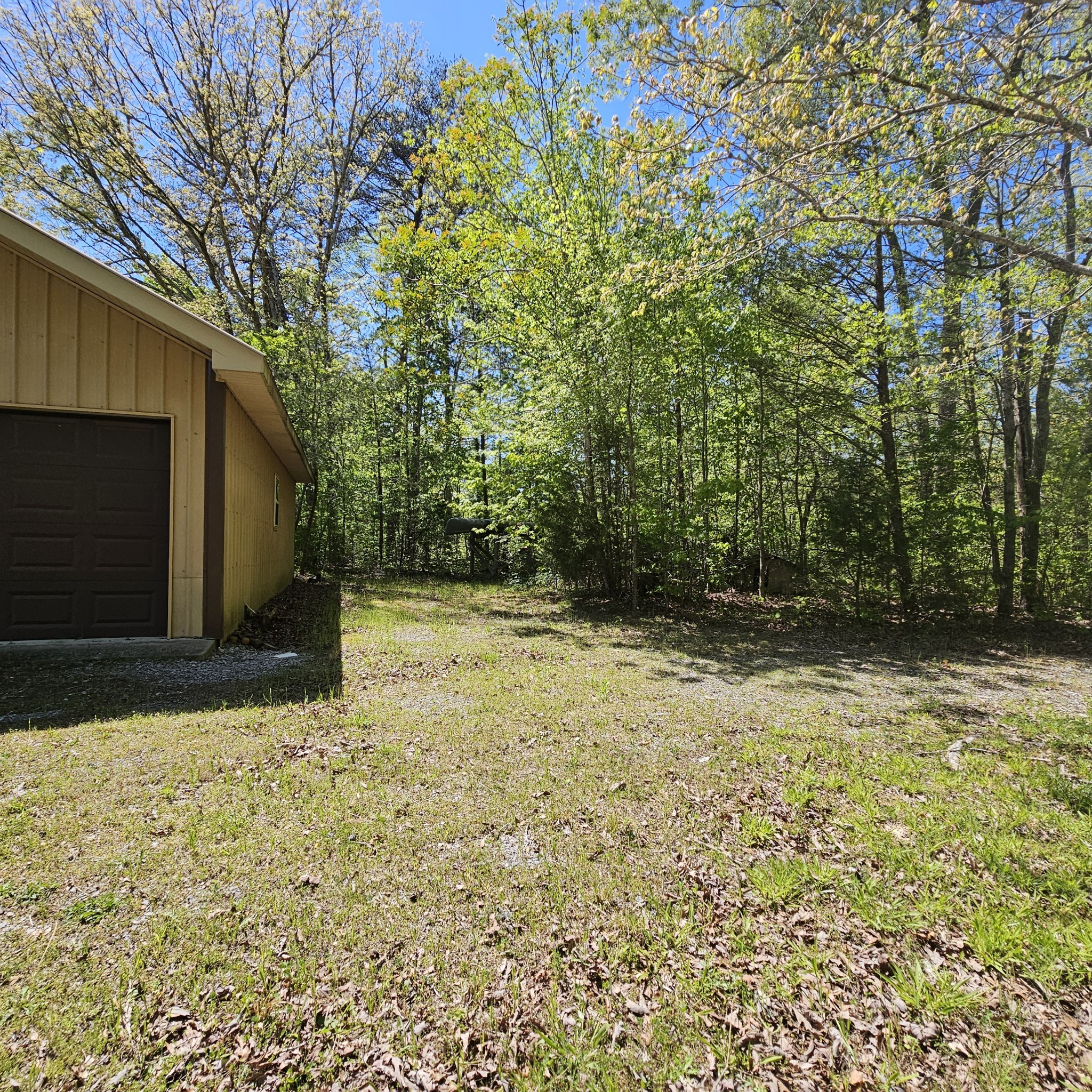 0 Young Green Road Smithville, TN 37166 - Photo 18 of 37 a view of backyard of house