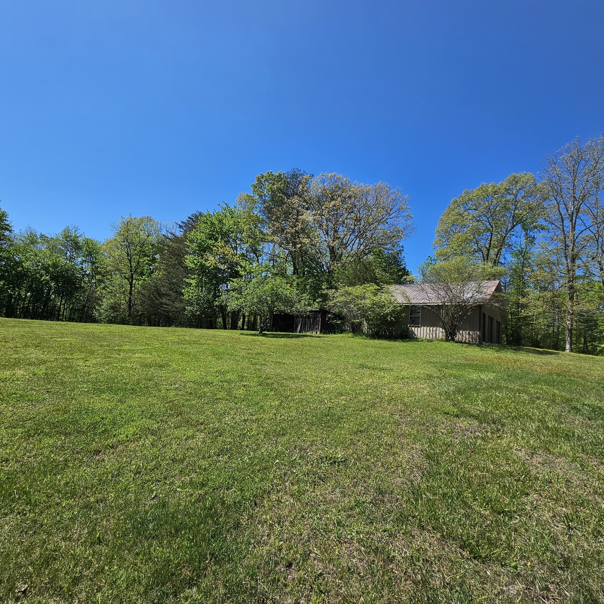 0 Young Green Road Smithville, TN 37166 - Photo 2 of 37 a view of a field of grass and trees