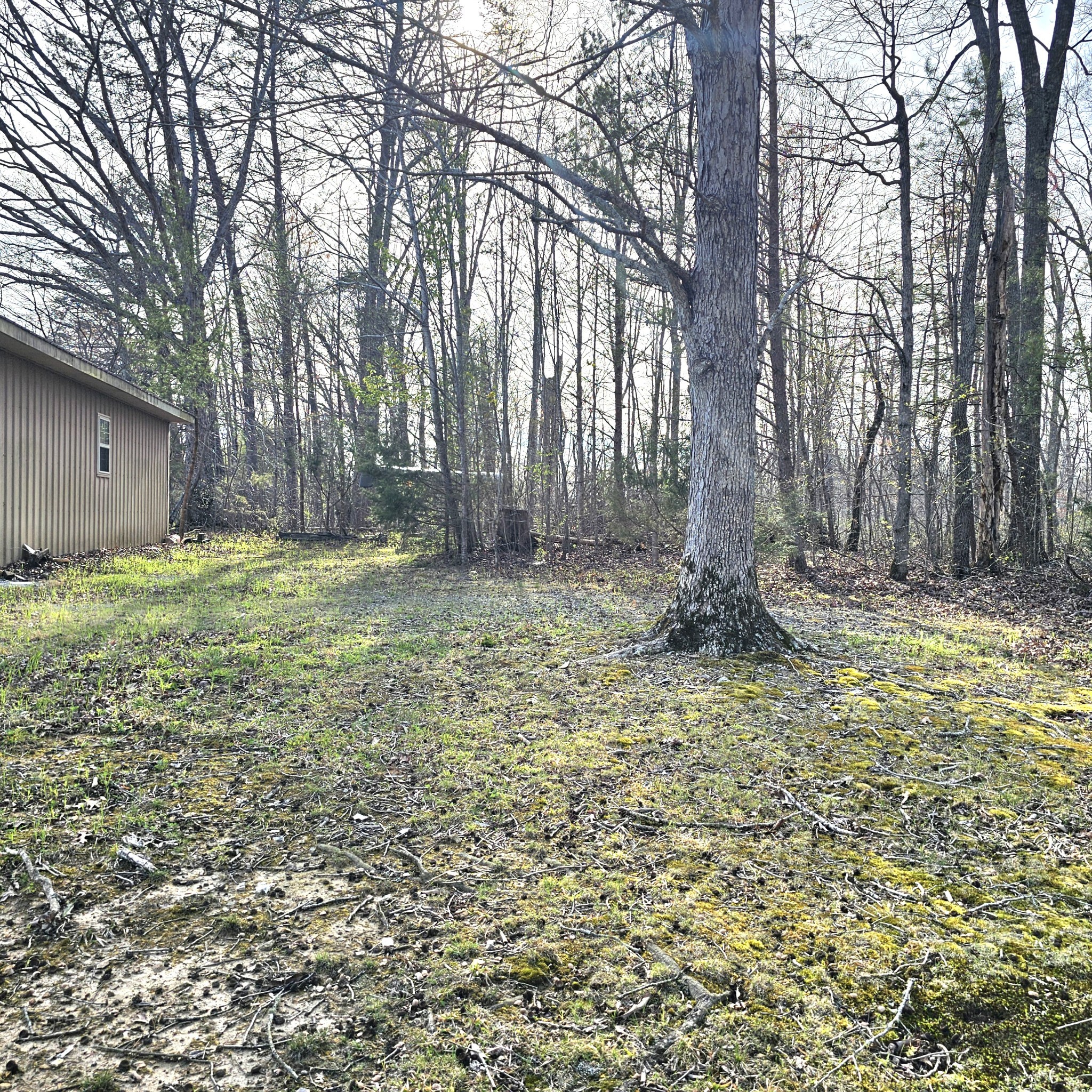 0 Young Green Road Smithville, TN 37166 - Photo 26 of 37 a backyard of a house with lots of green space
