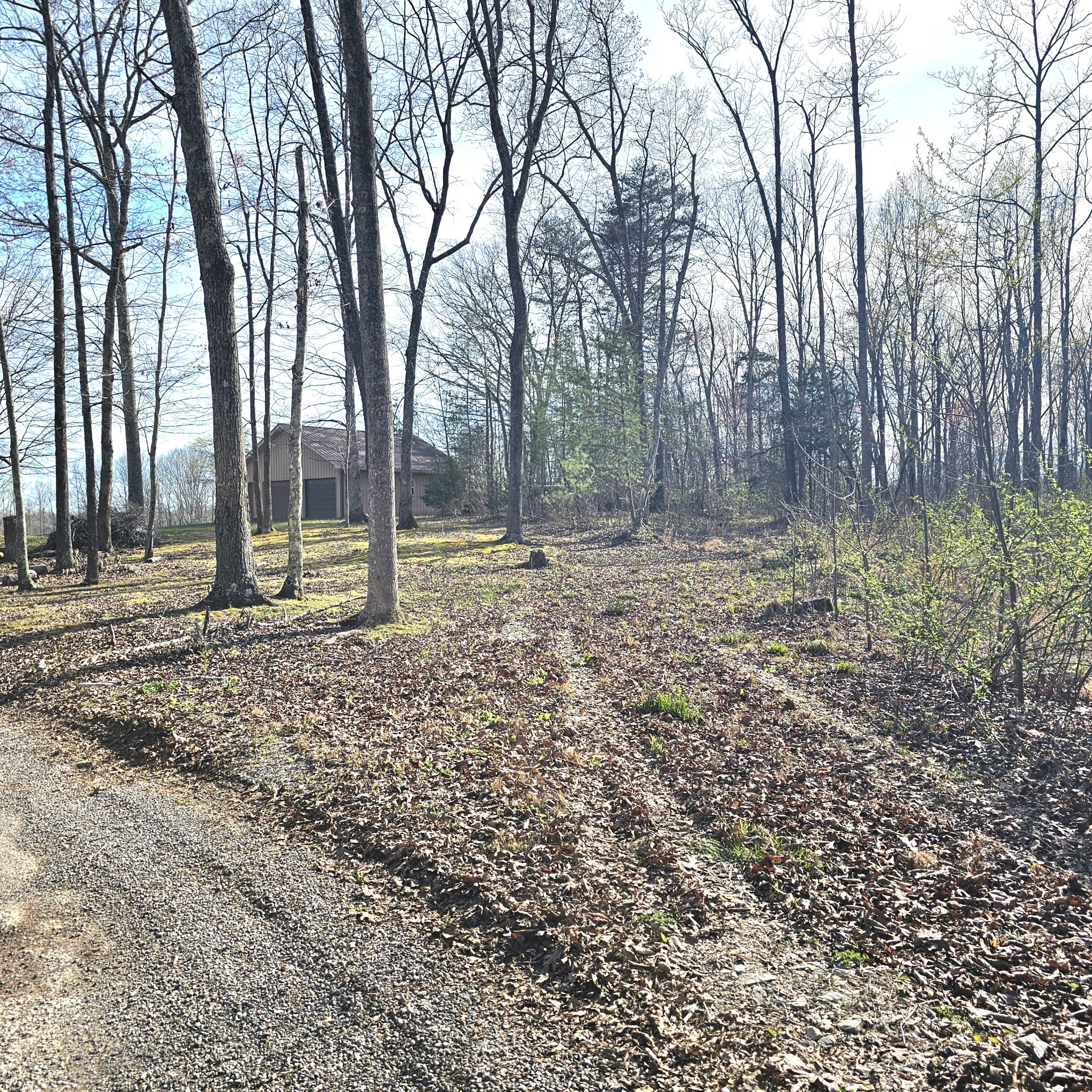 0 Young Green Road Smithville, TN 37166 - Photo 27 of 37 a backyard of a house with lots of green space