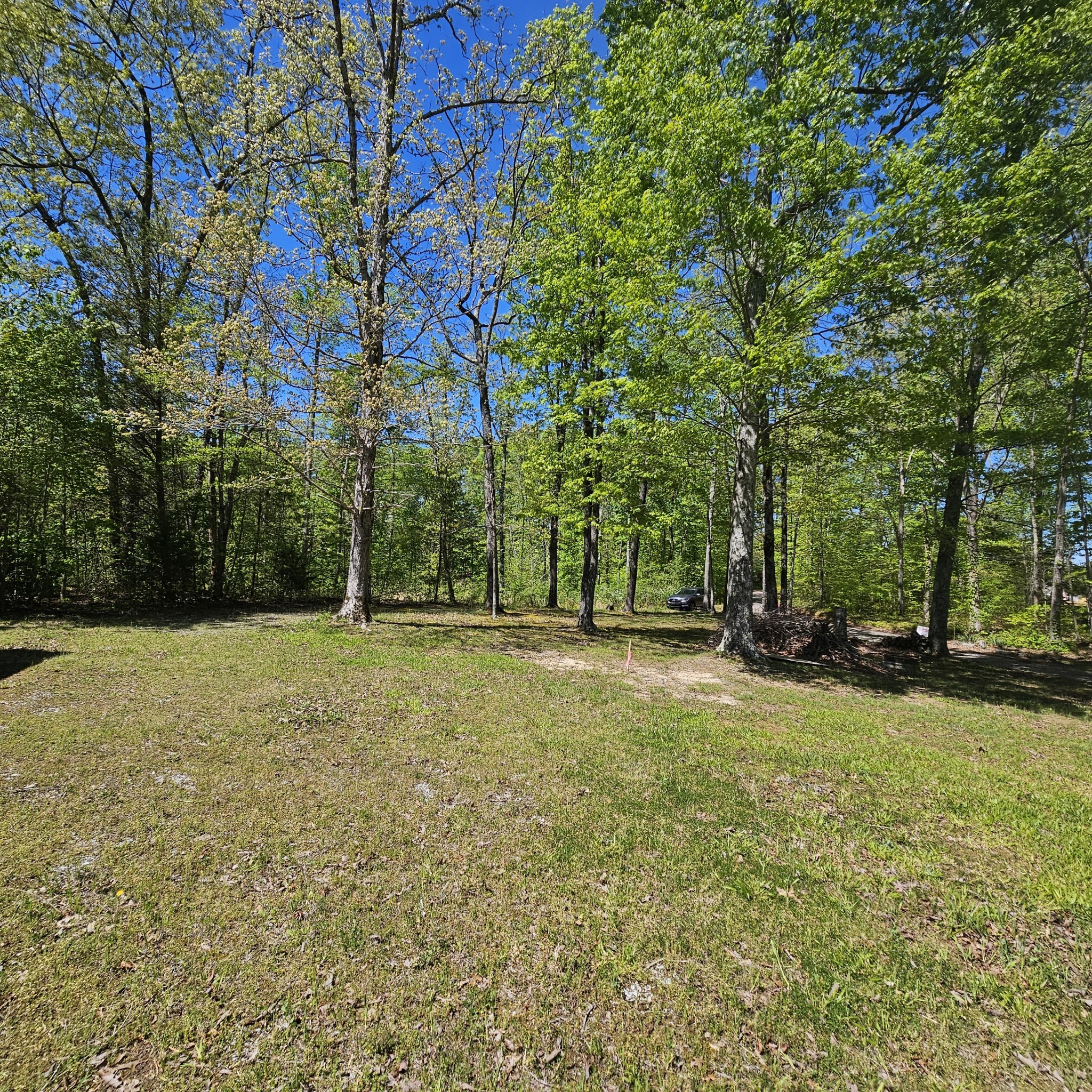 0 Young Green Road Smithville, TN 37166 - Photo 3 of 37 a view of a field with trees in the background