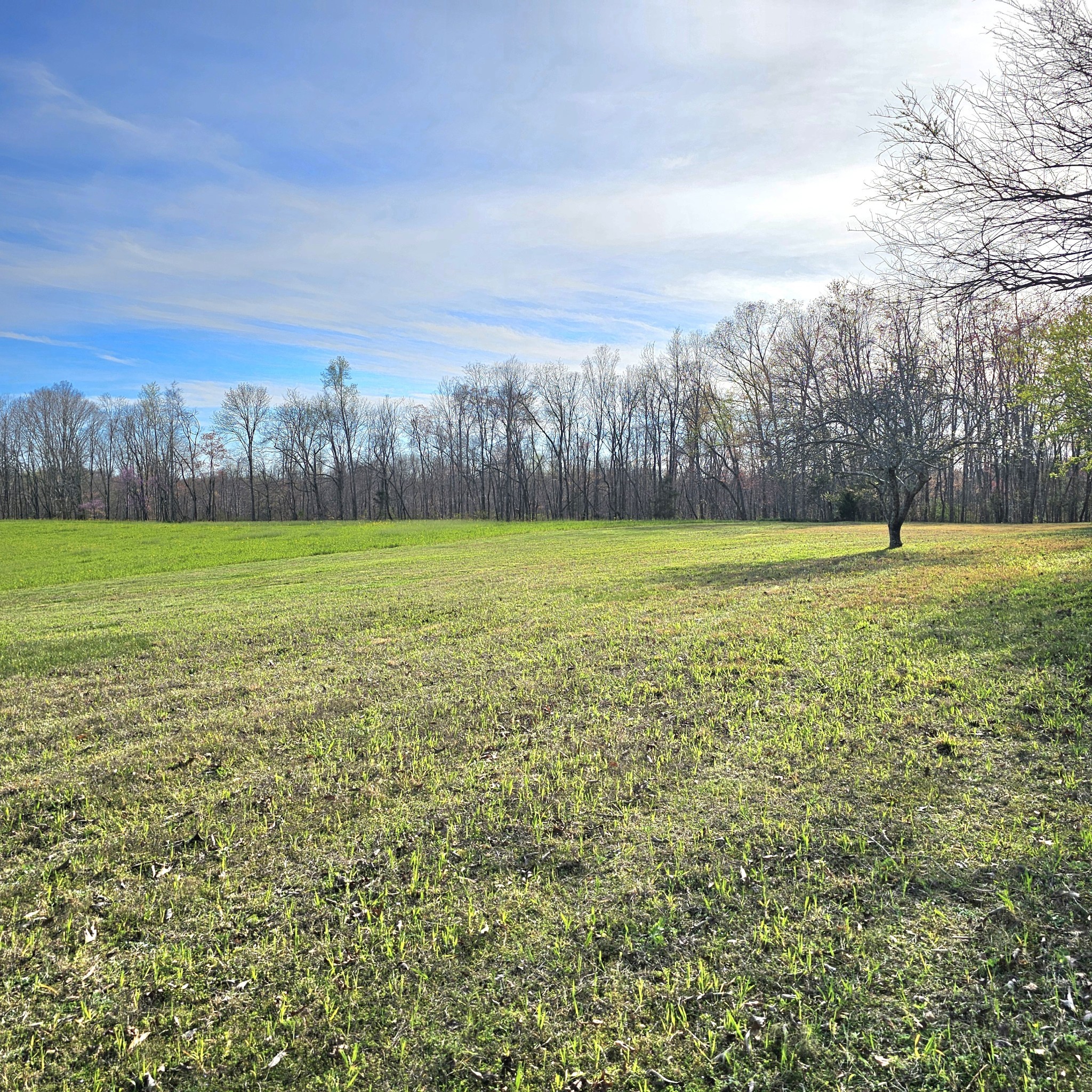 0 Young Green Road Smithville, TN 37166 - Photo 4 of 37 a view of a field with an trees in the background