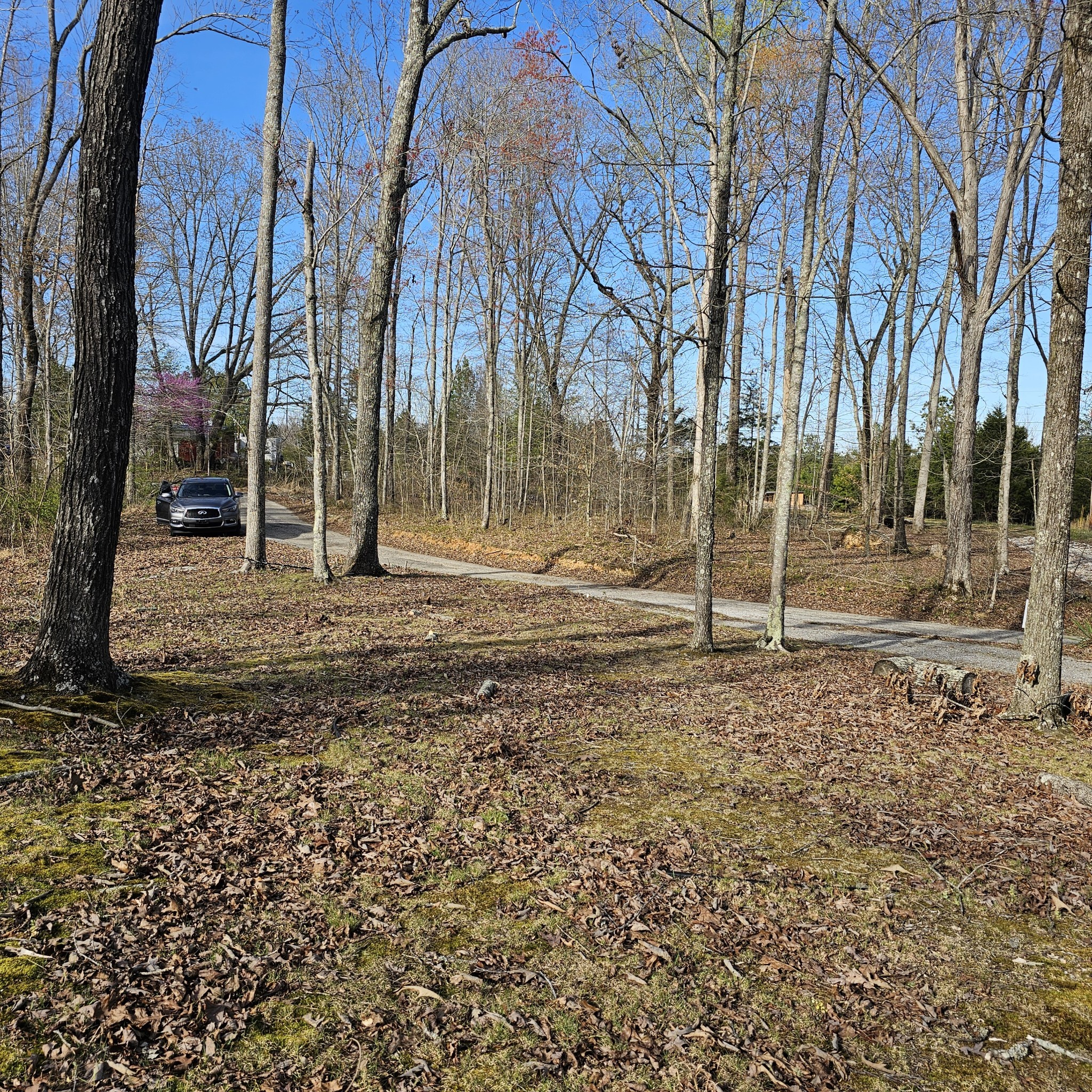 0 Young Green Road Smithville, TN 37166 - Photo 6 of 37