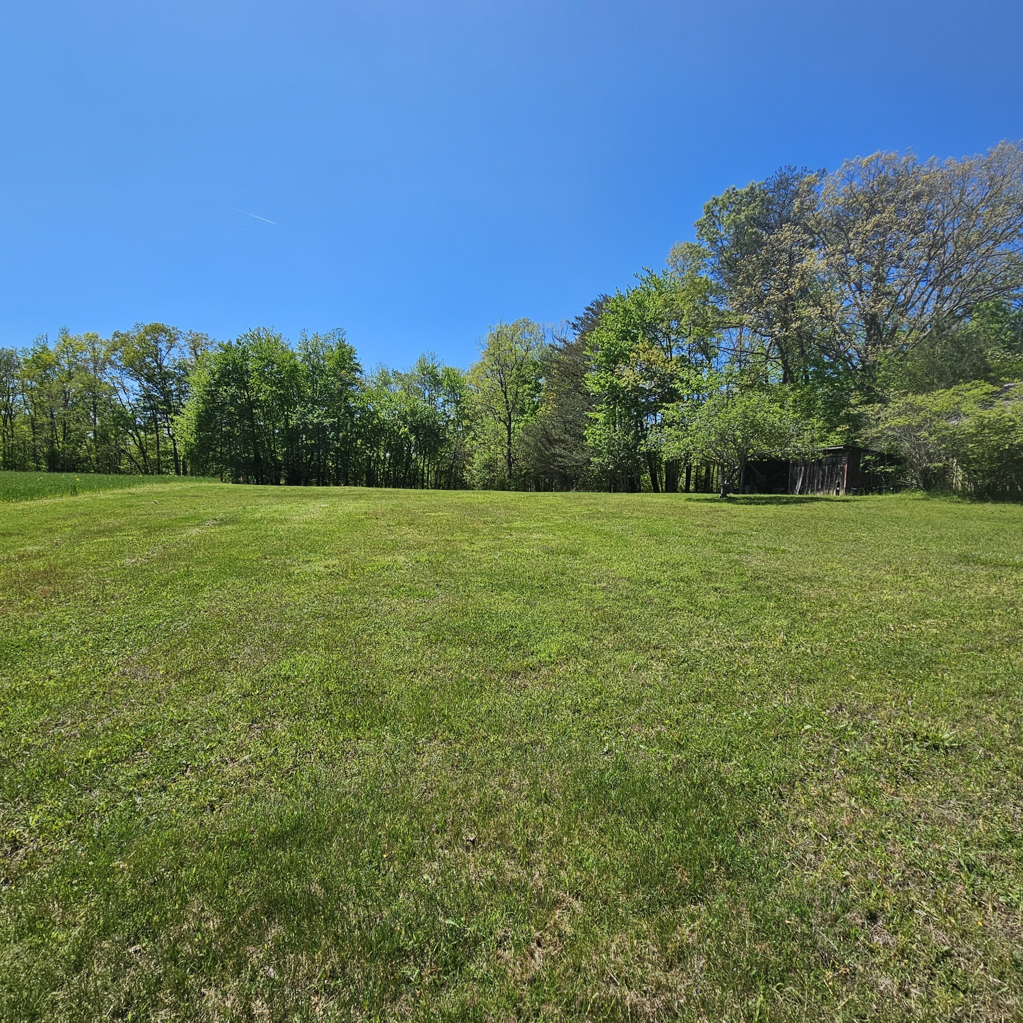 0 Young Green Road Smithville, TN 37166 - Photo 8 of 37 a view of a field with trees in the background