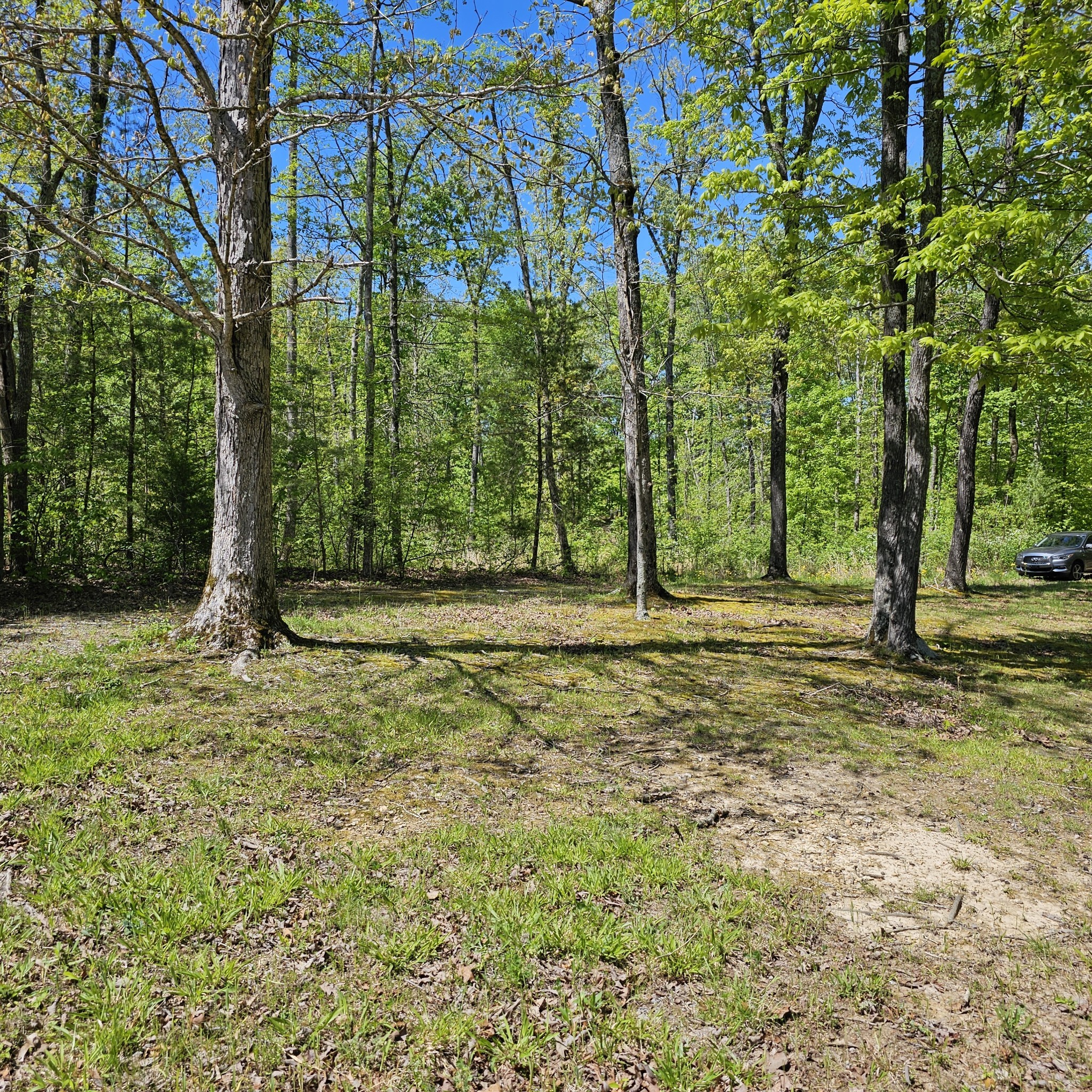 0 Young Green Road Smithville, TN 37166 - Photo 10 of 37 a view of a yard with trees