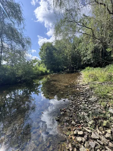 $686,000 | 3310 Dog Branch Road, Prospect, TN 38477