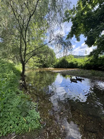 $686,000 | 3310 Dog Branch Road, Prospect, TN 38477