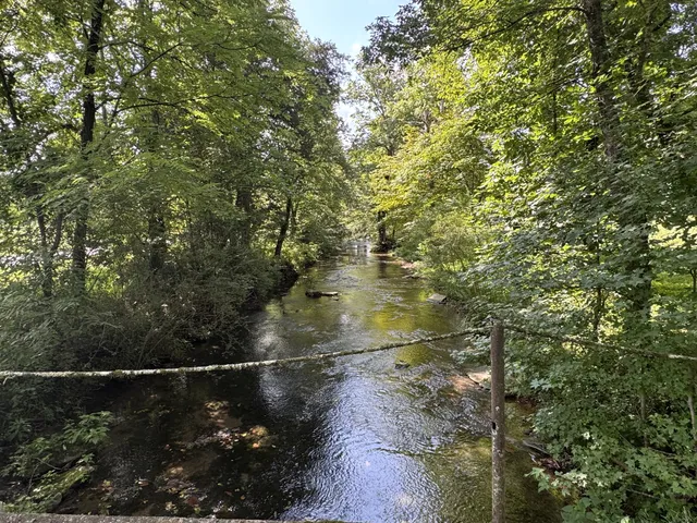 $686,000 | 3310 Dog Branch Road, Prospect, TN 38477