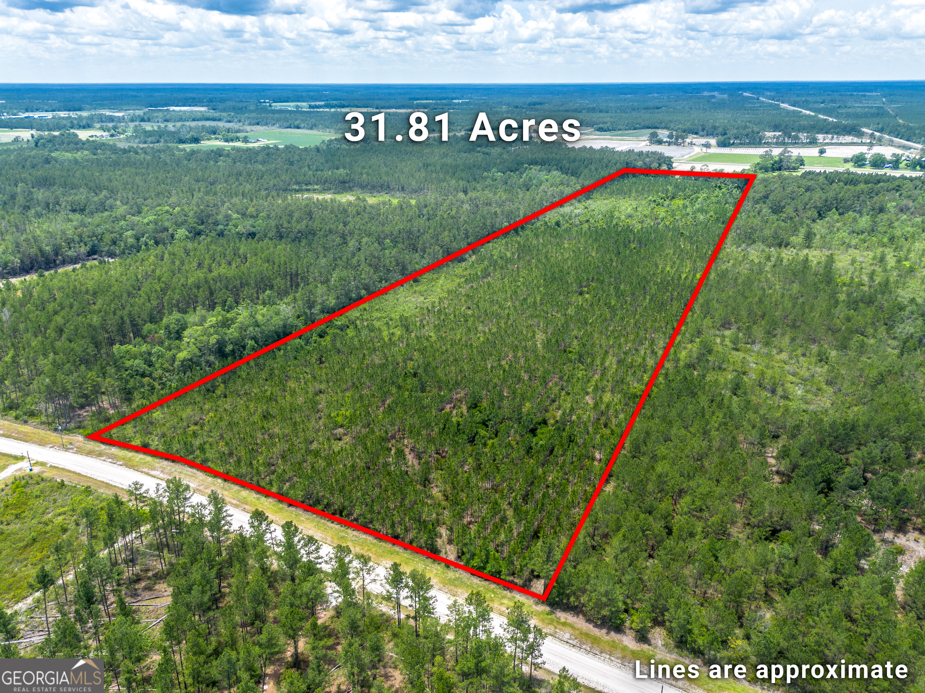 Lot 120 South Farms Edge Road Manor, GA 31550 - Photo 2 of 12