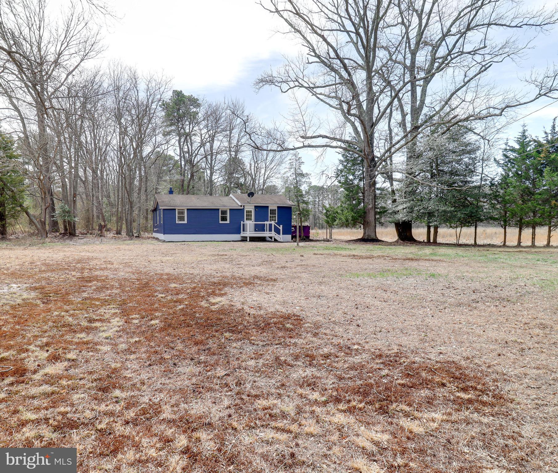 519 Back Neck Road Bridgeton, NJ 08302 - Photo 1 of 12 a view of a yard with a house and trees