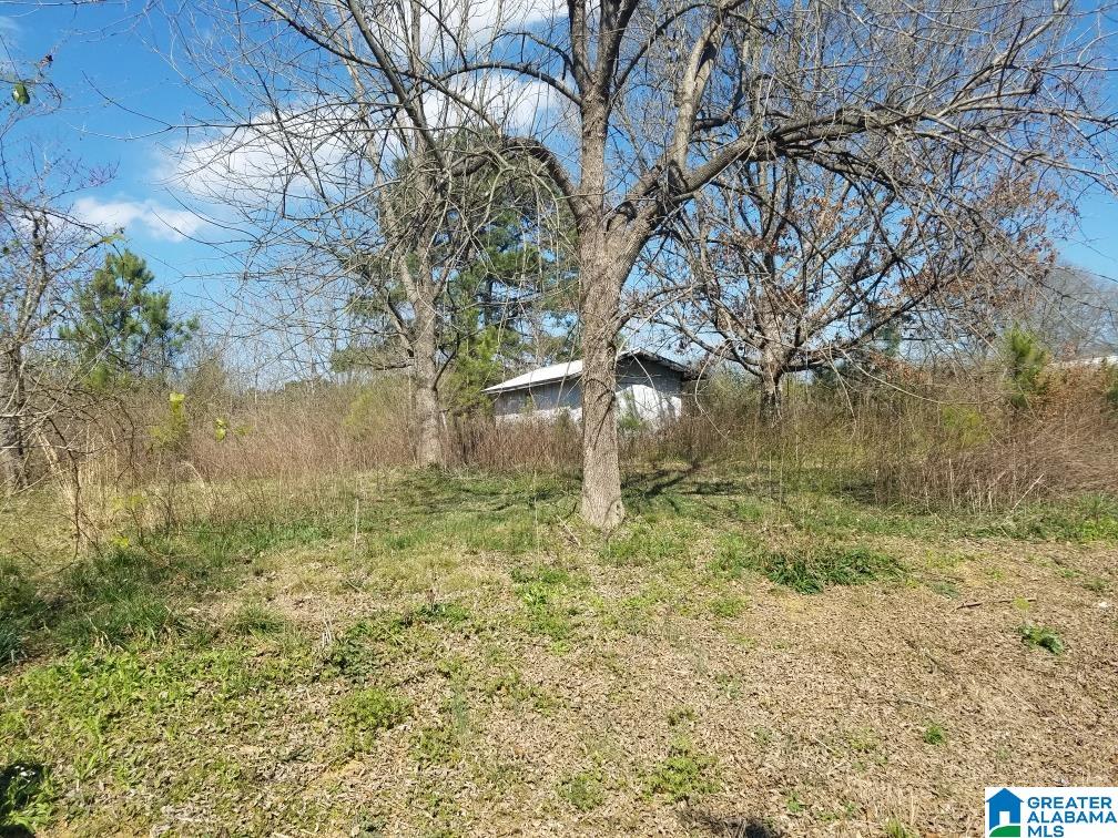 827 Low Water Bridge Road Cleveland, AL 35049 - Photo 6 of 10