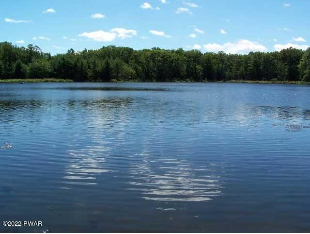 113 Butternut Road Milford, PA 18337 - Photo 15 of 15 a view of lake view and mountain view
