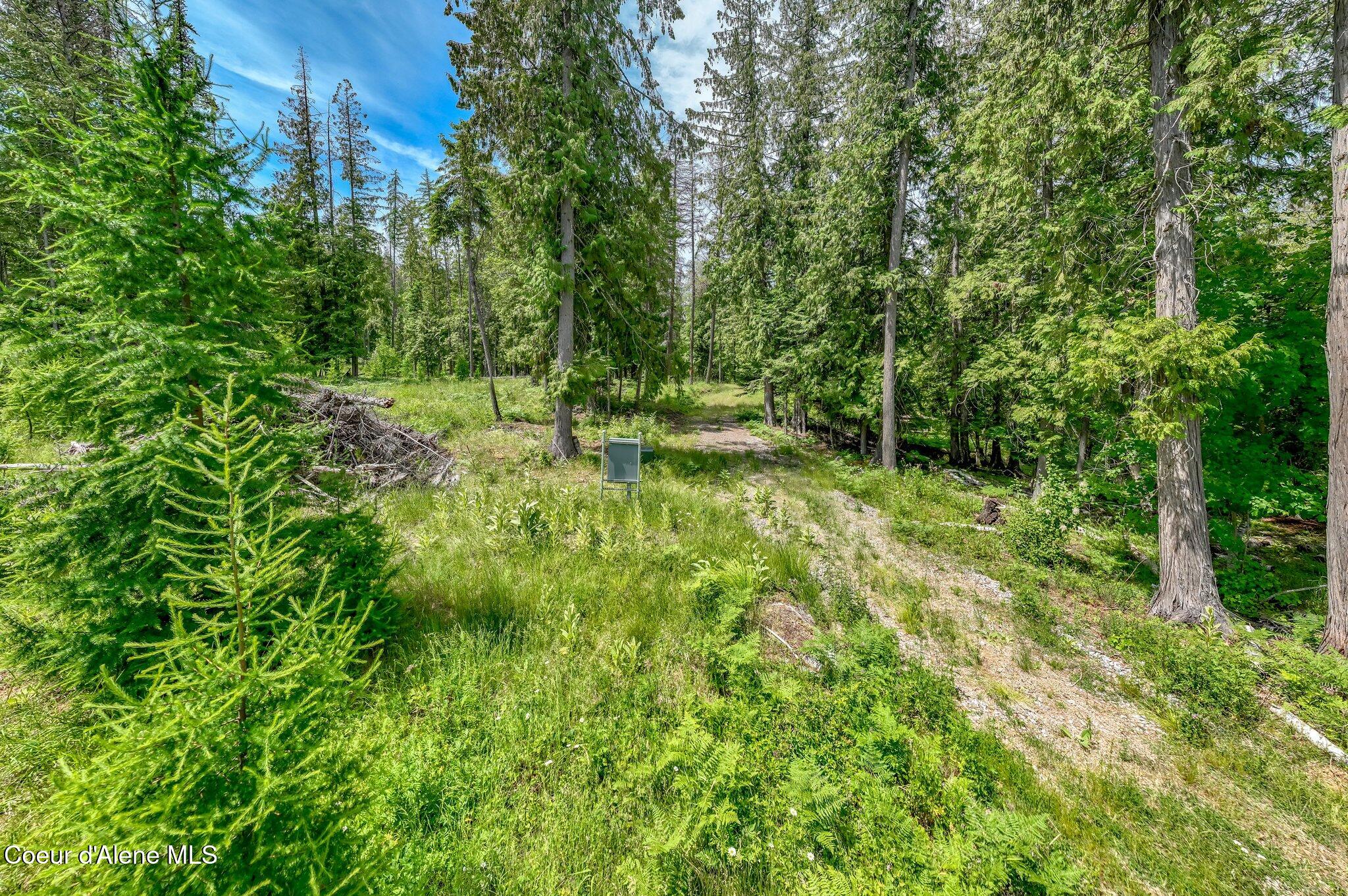 161 Finch Trail Sandpoint, ID 83864 - Photo 4 of 23 RealVue - 2025 0620 - 161 Finch Trail-15