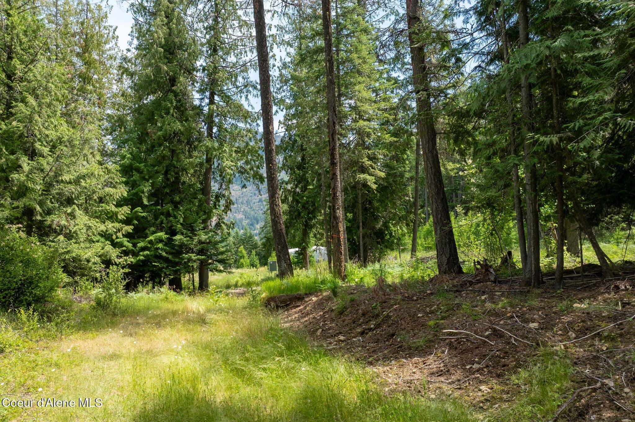 161 Finch Trail Sandpoint, ID 83864 - Photo 5 of 23 RealVue - 2025 0620 - 161 Finch Trail-17