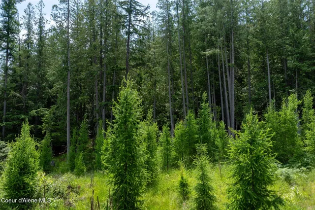 $399,900 | 161 Finch Trail, Sandpoint, ID 83864