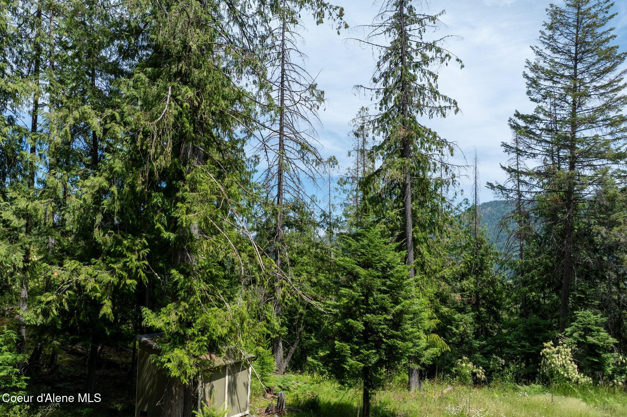 161 Finch Trail Sandpoint, ID 83864 - Photo 8 of 23 RealVue - 2025 0620 - 161 Finch Trail-20