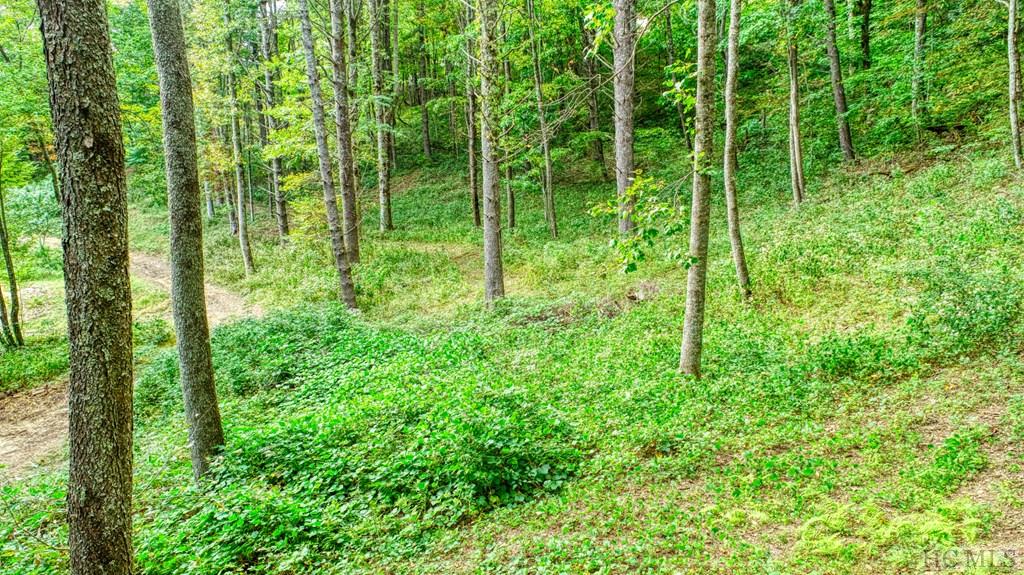 Off Jack Wilcox Road Highlands, NC 28741 - Photo 12 of 25 Gallery Image 12